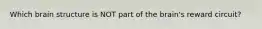Which brain structure is NOT part of the brain's reward circuit?