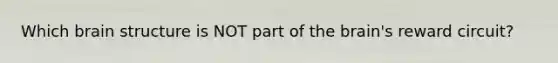 Which brain structure is NOT part of the brain's reward circuit?