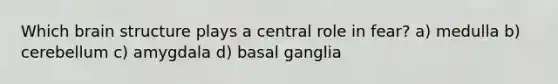 Which brain structure plays a central role in fear? a) medulla b) cerebellum c) amygdala d) basal ganglia