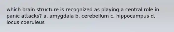 which brain structure is recognized as playing a central role in panic attacks? a. amygdala b. cerebellum c. hippocampus d. locus coeruleus