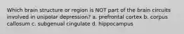 Which brain structure or region is NOT part of the brain circuits involved in unipolar depression? a. prefrontal cortex b. corpus callosum c. subgenual cingulate d. hippocampus