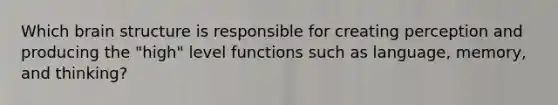 Which brain structure is responsible for creating perception and producing the "high" level functions such as language, memory, and thinking?