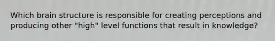 Which brain structure is responsible for creating perceptions and producing other "high" level functions that result in knowledge?