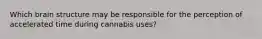 Which brain structure may be responsible for the perception of accelerated time during cannabis uses?
