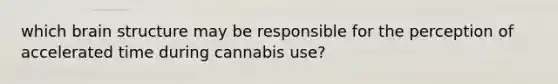 which brain structure may be responsible for the perception of accelerated time during cannabis use?