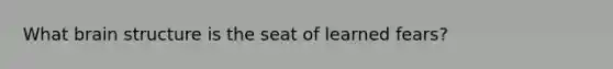 What brain structure is the seat of learned fears?