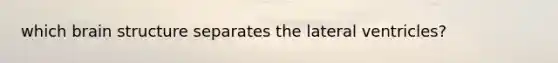 which brain structure separates the lateral ventricles?