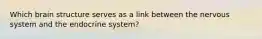 Which brain structure serves as a link between the nervous system and the endocrine system?