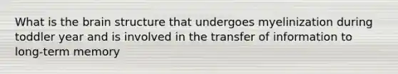 What is the brain structure that undergoes myelinization during toddler year and is involved in the transfer of information to long-term memory