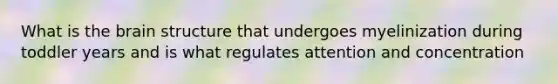 What is the brain structure that undergoes myelinization during toddler years and is what regulates attention and concentration