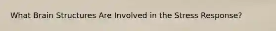 What Brain Structures Are Involved in the Stress Response?