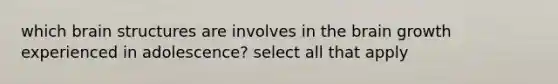 which brain structures are involves in the brain growth experienced in adolescence? select all that apply