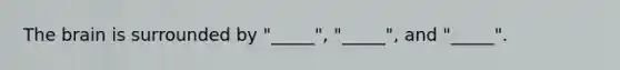 The brain is surrounded by "_____", "_____", and "_____".