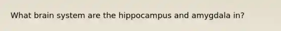 What brain system are the hippocampus and amygdala in?