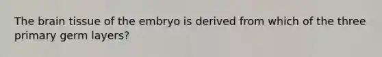 The brain tissue of the embryo is derived from which of the three primary germ layers?