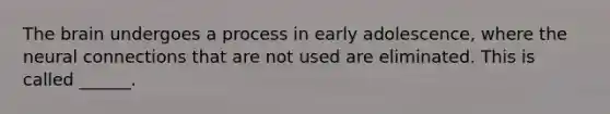 The brain undergoes a process in early adolescence, where the neural connections that are not used are eliminated. This is called ______.