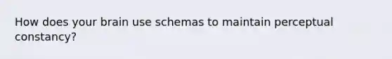 How does your brain use schemas to maintain perceptual constancy?