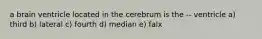 a brain ventricle located in the cerebrum is the -- ventricle a) third b) lateral c) fourth d) median e) falx