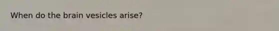 When do <a href='https://www.questionai.com/knowledge/kLMtJeqKp6-the-brain' class='anchor-knowledge'>the brain</a> vesicles arise?