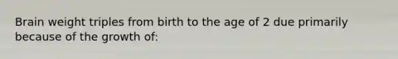 Brain weight triples from birth to the age of 2 due primarily because of the growth of: