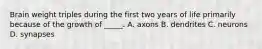 Brain weight triples during the first two years of life primarily because of the growth of _____. A. axons B. dendrites C. neurons D. synapses