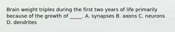 Brain weight triples during the first two years of life primarily because of the growth of _____. A. synapses B. axons C. neurons D. dendrites