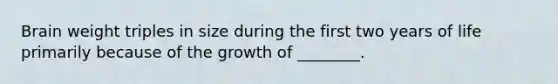 Brain weight triples in size during the first two years of life primarily because of the growth of ________.