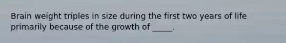 Brain weight triples in size during the first two years of life primarily because of the growth of _____.