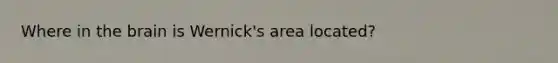 Where in the brain is Wernick's area located?