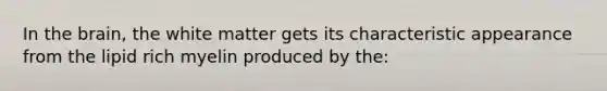 In the brain, the white matter gets its characteristic appearance from the lipid rich myelin produced by the: