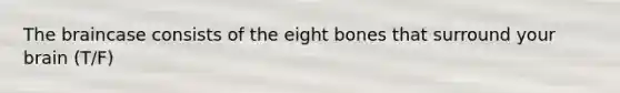 The braincase consists of the eight bones that surround your brain (T/F)