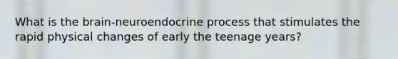 What is the brain-neuroendocrine process that stimulates the rapid physical changes of early the teenage years?