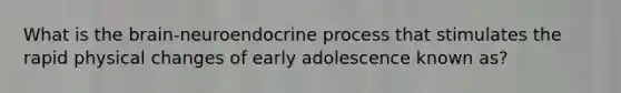 What is the brain-neuroendocrine process that stimulates the rapid physical changes of early adolescence known as?