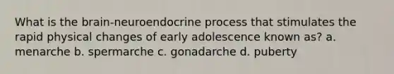 What is the brain-neuroendocrine process that stimulates the rapid physical changes of early adolescence known as? a. menarche b. spermarche c. gonadarche d. puberty