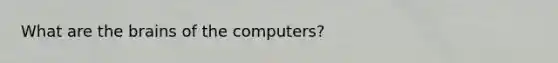 What are <a href='https://www.questionai.com/knowledge/kLMtJeqKp6-the-brain' class='anchor-knowledge'>the brain</a>s of the computers?