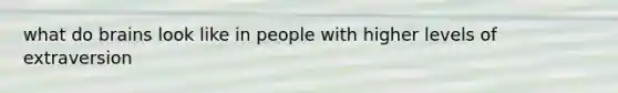 what do brains look like in people with higher levels of extraversion