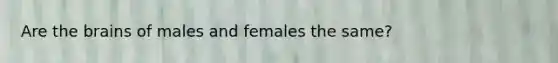 Are the brains of males and females the same?