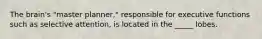 The brain's "master planner," responsible for executive functions such as selective attention, is located in the _____ lobes.