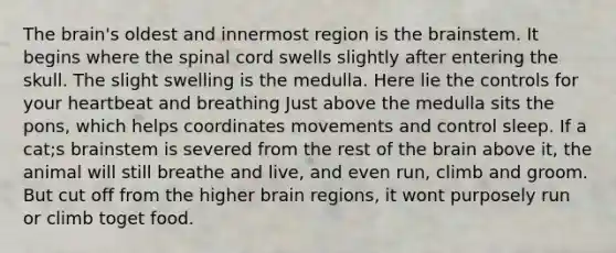 The brain's oldest and innermost region is the brainstem. It begins where the spinal cord swells slightly after entering the skull. The slight swelling is the medulla. Here lie the controls for your heartbeat and breathing Just above the medulla sits the pons, which helps coordinates movements and control sleep. If a cat;s brainstem is severed from the rest of the brain above it, the animal will still breathe and live, and even run, climb and groom. But cut off from the higher brain regions, it wont purposely run or climb toget food.