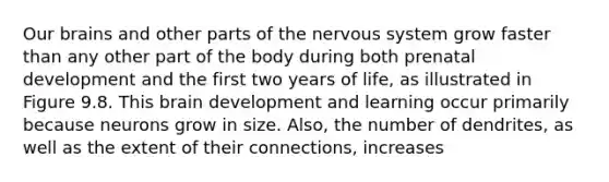 Our brains and other parts of the nervous system grow faster than any other part of the body during both prenatal development and the first two years of life, as illustrated in Figure 9.8. This brain development and learning occur primarily because neurons grow in size. Also, the number of dendrites, as well as the extent of their connections, increases