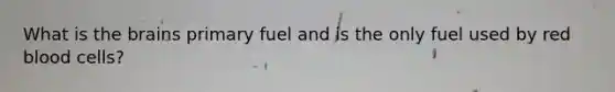 What is <a href='https://www.questionai.com/knowledge/kLMtJeqKp6-the-brain' class='anchor-knowledge'>the brain</a>s primary fuel and is the only fuel used by red blood cells?