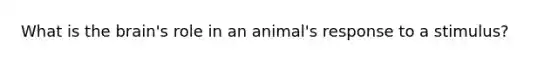 What is the brain's role in an animal's response to a stimulus?