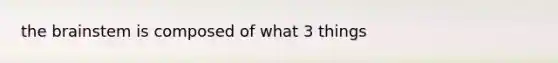 the brainstem is composed of what 3 things