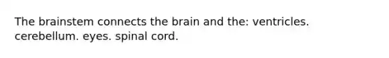 The brainstem connects the brain and the: ventricles. cerebellum. eyes. spinal cord.