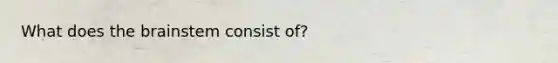 What does <a href='https://www.questionai.com/knowledge/kLMtJeqKp6-the-brain' class='anchor-knowledge'>the brain</a>stem consist of?