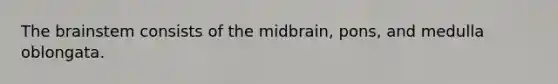 The brainstem consists of the midbrain, pons, and medulla oblongata.