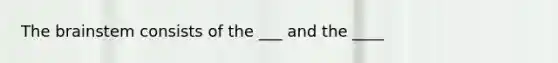 The brainstem consists of the ___ and the ____