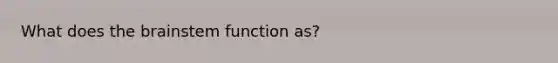 What does the brainstem function as?