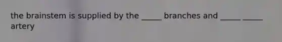 the brainstem is supplied by the _____ branches and _____ _____ artery