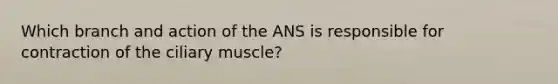 Which branch and action of the ANS is responsible for contraction of the ciliary muscle?